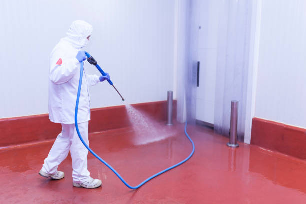 Best Residential Exterior Washing  in Indian Head, MD